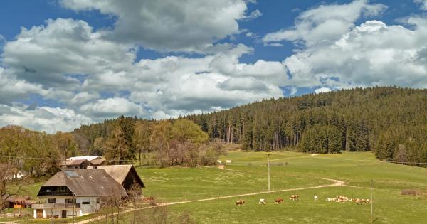 Bauernhofurlaub im Schwarzwald - HomeToGo
