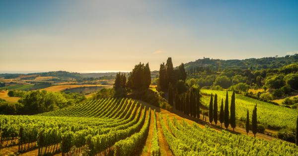 Agriturismo in Pisa - HomeToGo