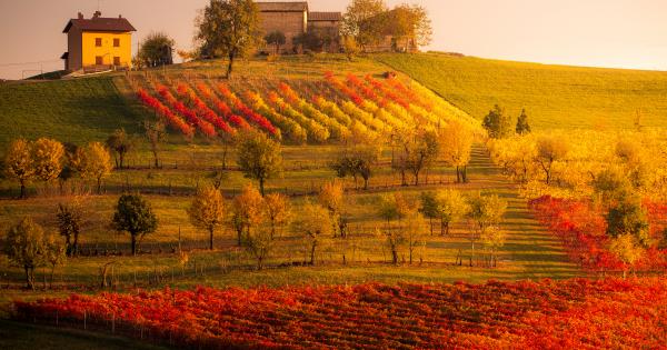 Agriturismo in Italien - HomeToGo
