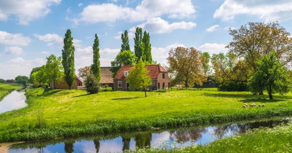 Bungalow in Holland - HomeToGo