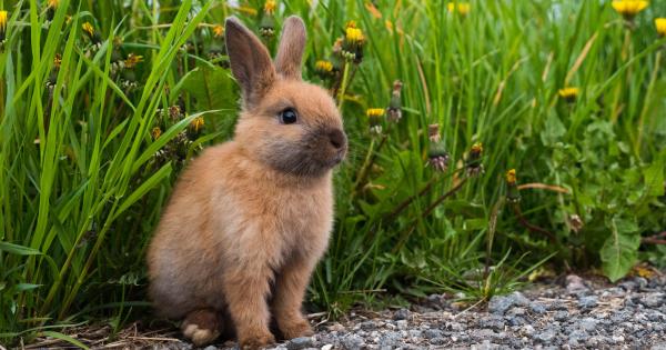 Pasqua in agriturismo