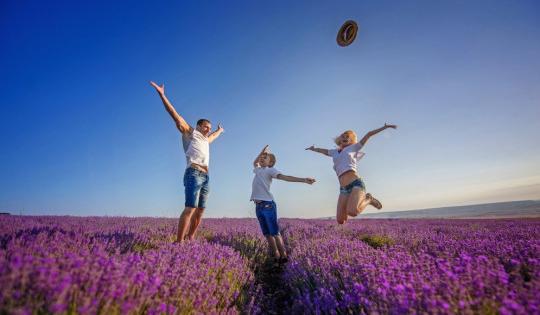 Provence