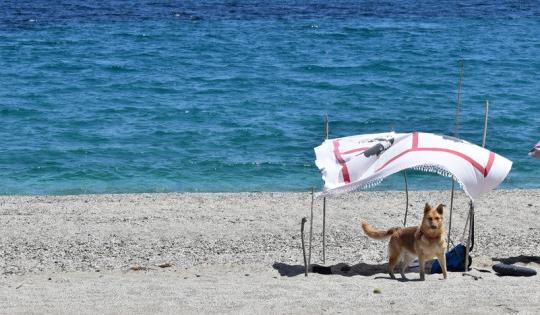 Sardinien