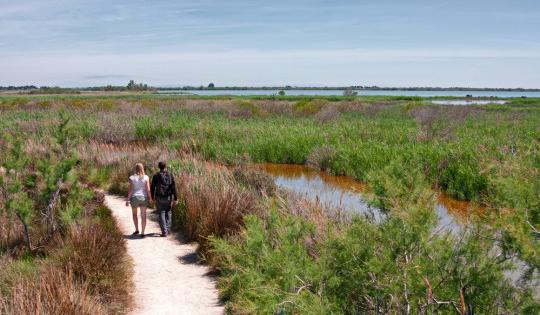 Camargue