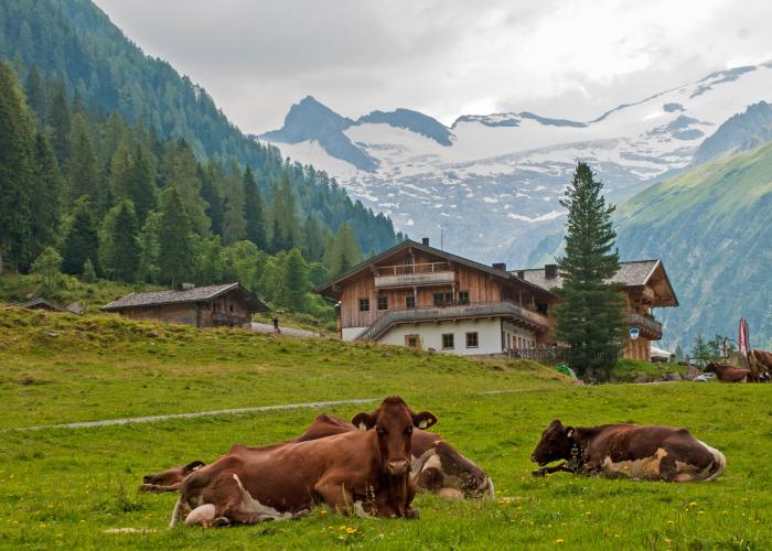 Tirol - Ferienwohnungen & Ferienhäuser