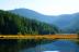Bayerischer Wald