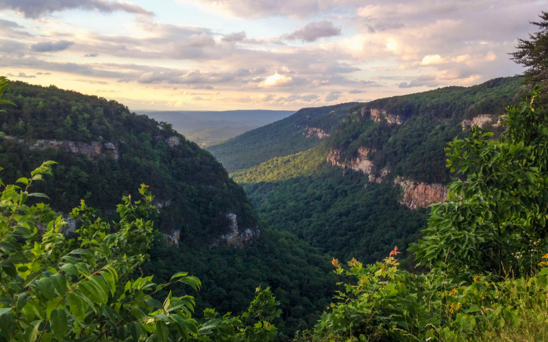 Cloudland Canyon State Park