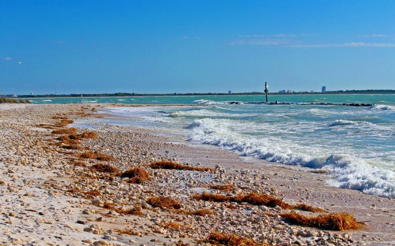 View of the beach on Honeymoon Island, Florida