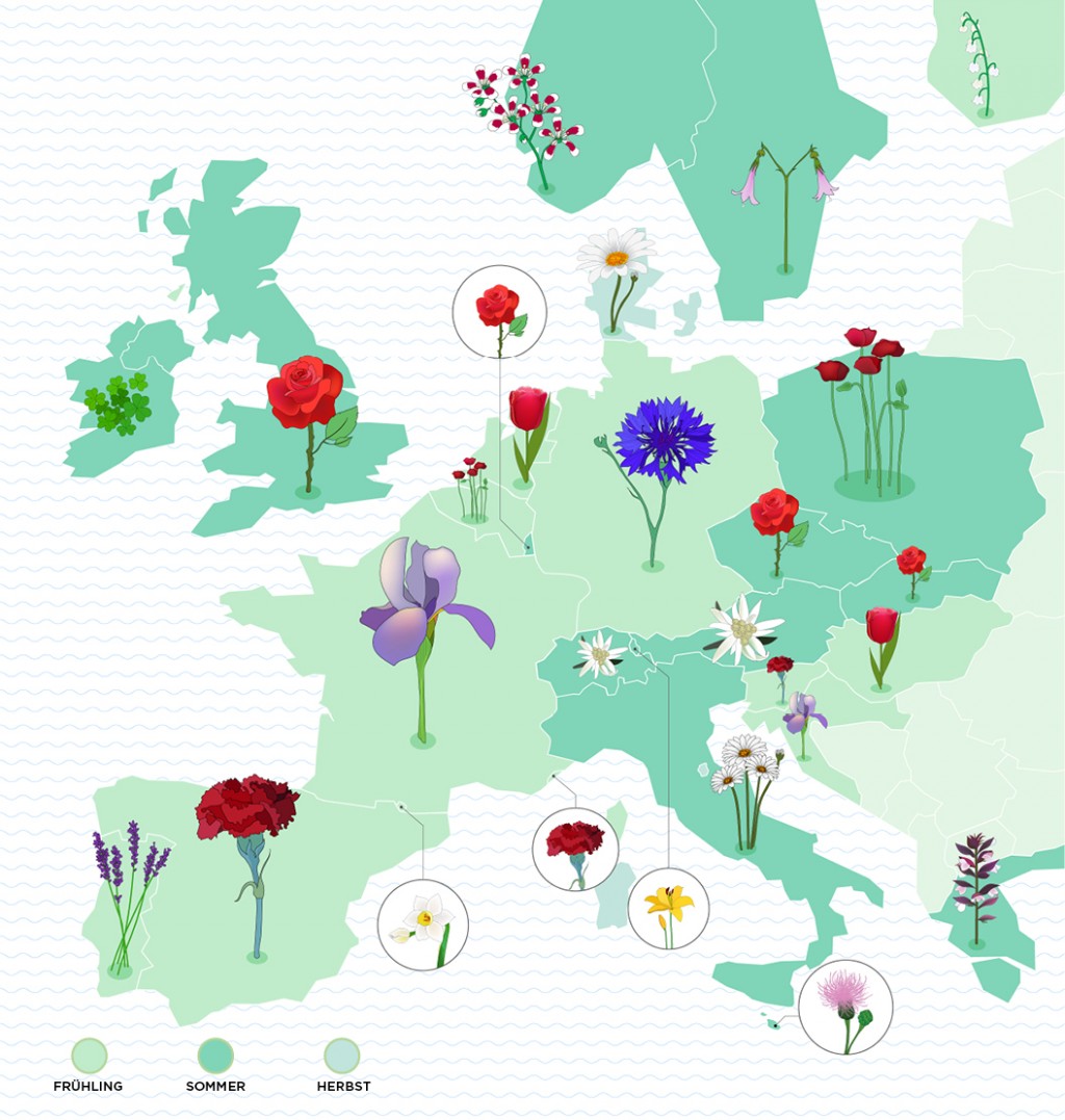 Nationalblumen Europas, Infografik