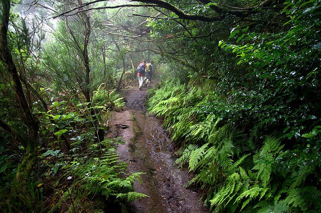 Hiking in the Anaga Mountains via © Flickr Javier Sanchez Portero 