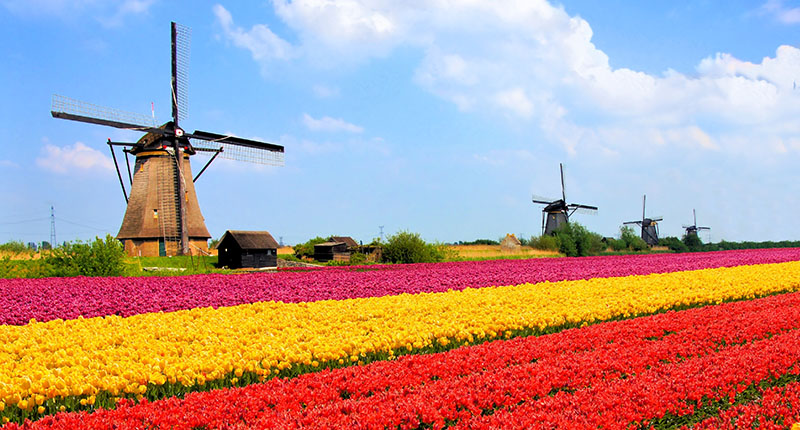 Die Niederlande - Platz 4 unserer teuersten Reiseziele