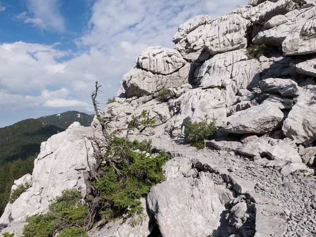 Velebit Gebirge Wandern in Kroatien