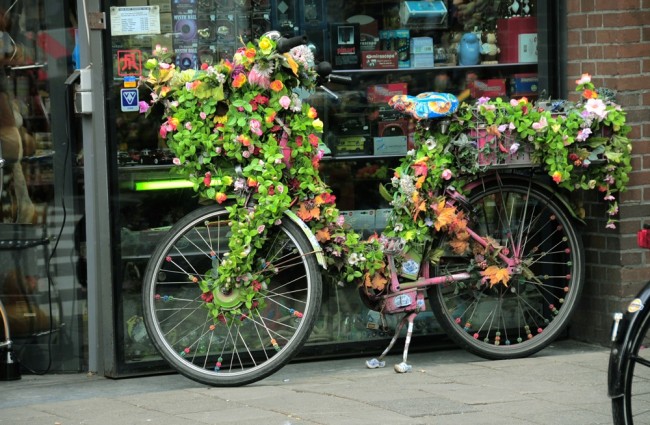 A flower-covered bike in Amsterdam cycling in Amsterdam