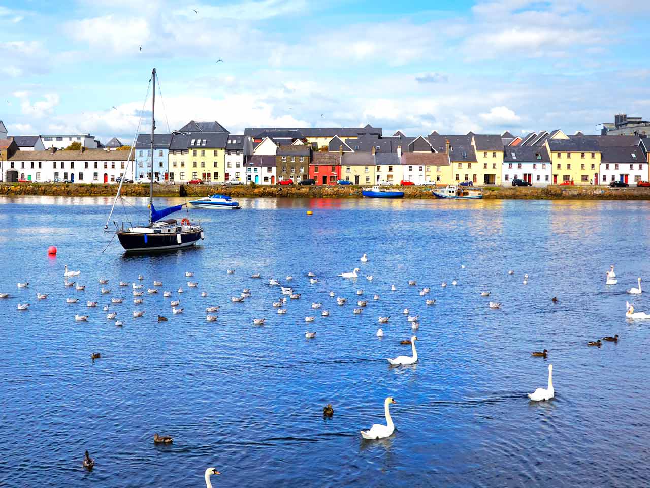 Gourmet Galway - Ireland's tastiest city! - Wimdu Blog