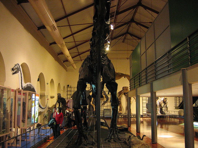 Dinosaurios en el Museo Nacional de Ciencias Naturales. 