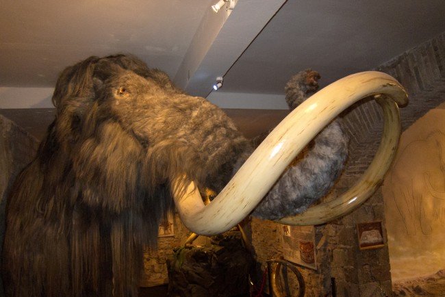 Das Mammut Museum in Barcelona