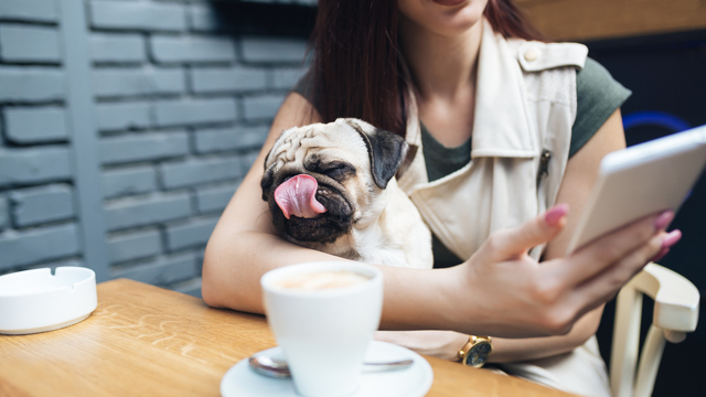 Cafés und Bars mit Hund