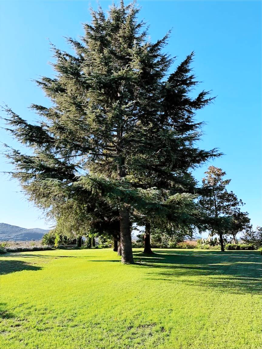 Appartamento indipendente all'interno della Tenuta il Poggio a Teano, immerso nella natura e dotato di ogni comfort