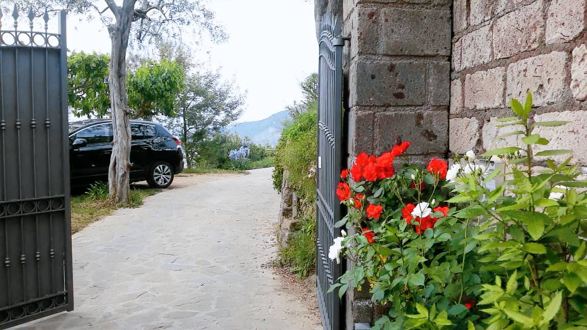 Camera Oliva Bianca