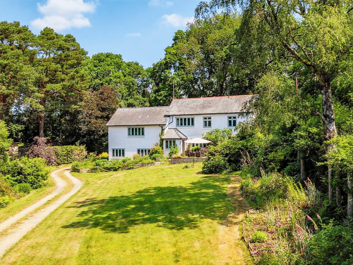 Cottages to rent in store the new forest dog friendly