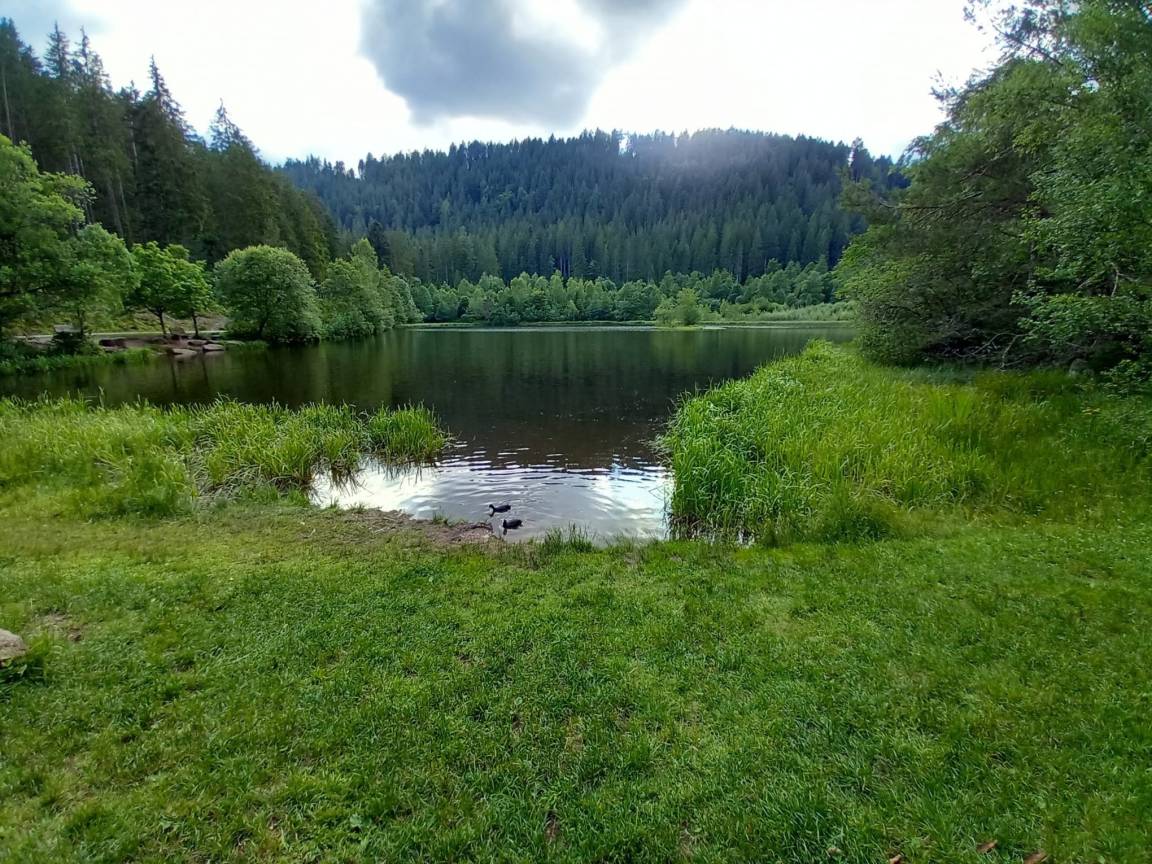 foto15