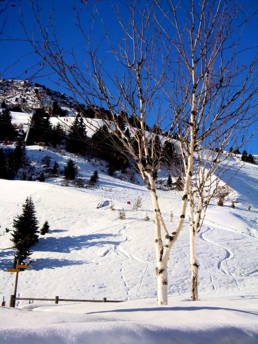 foto21