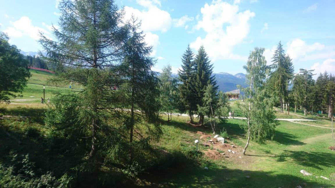 foto16