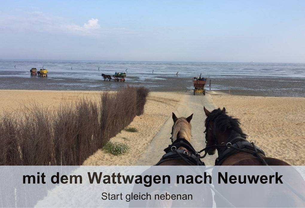 foto19
