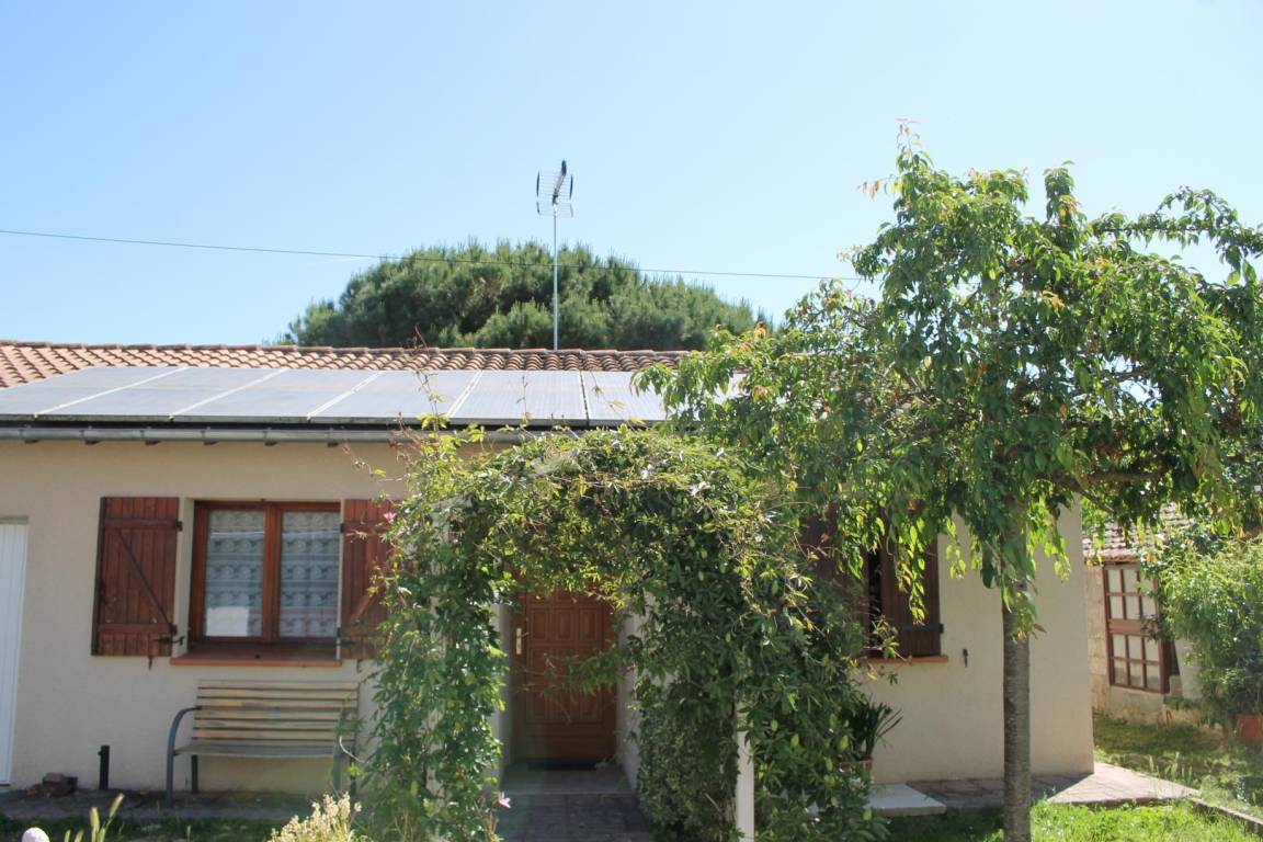 foto1