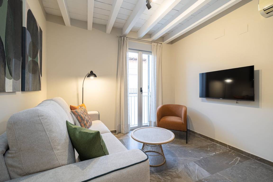 30 M² Apartment ∙ 1 Bedroom ∙ 4 Guests - Granada