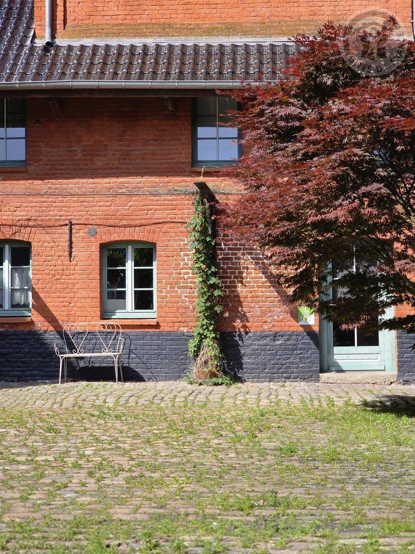 foto23