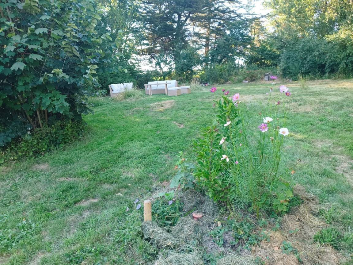 foto17