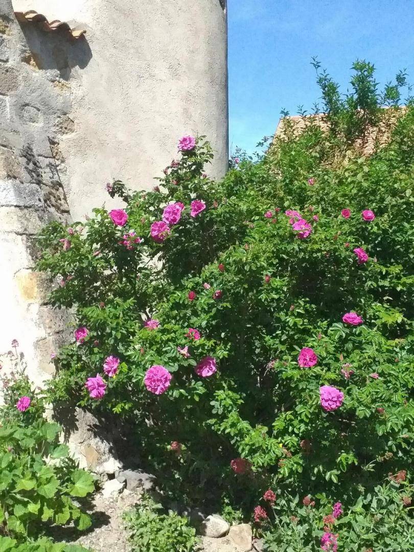 foto28