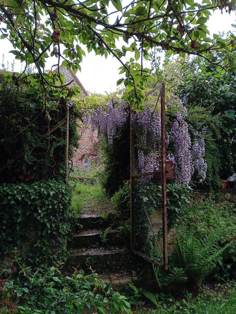 foto10