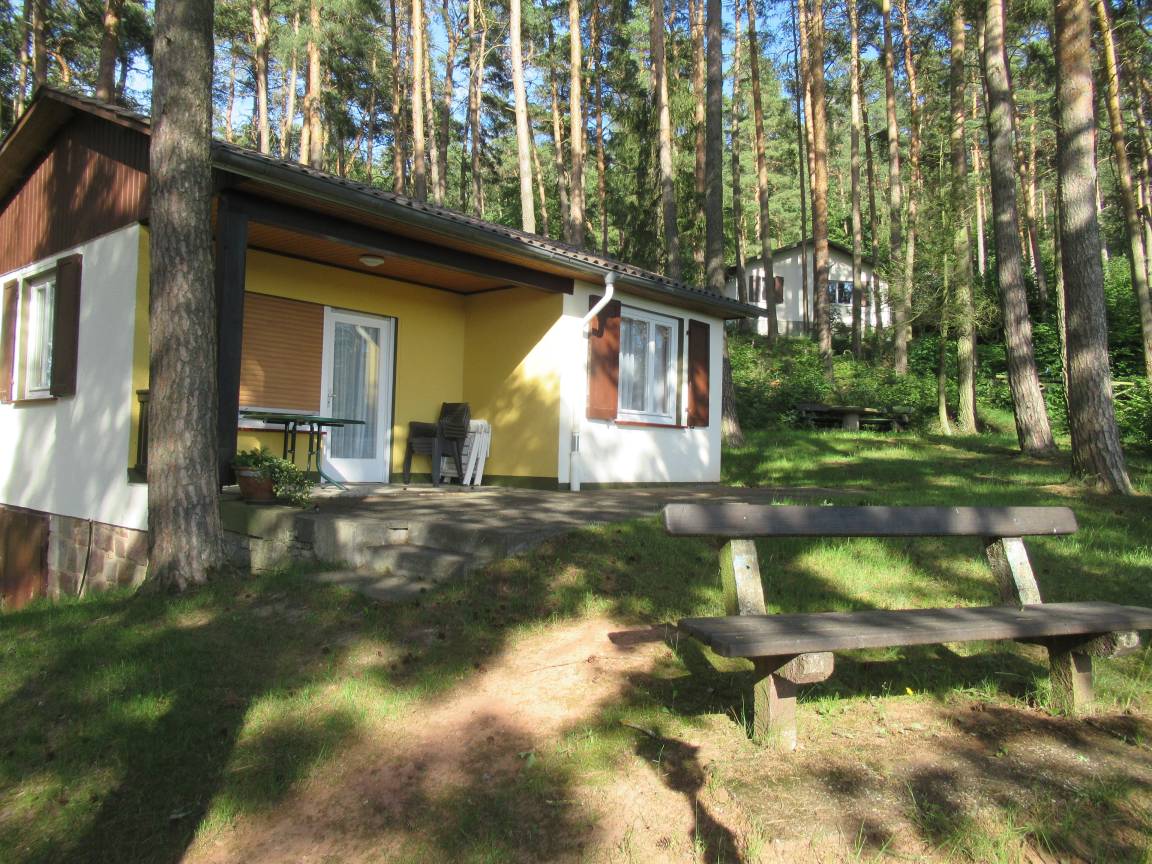 foto1