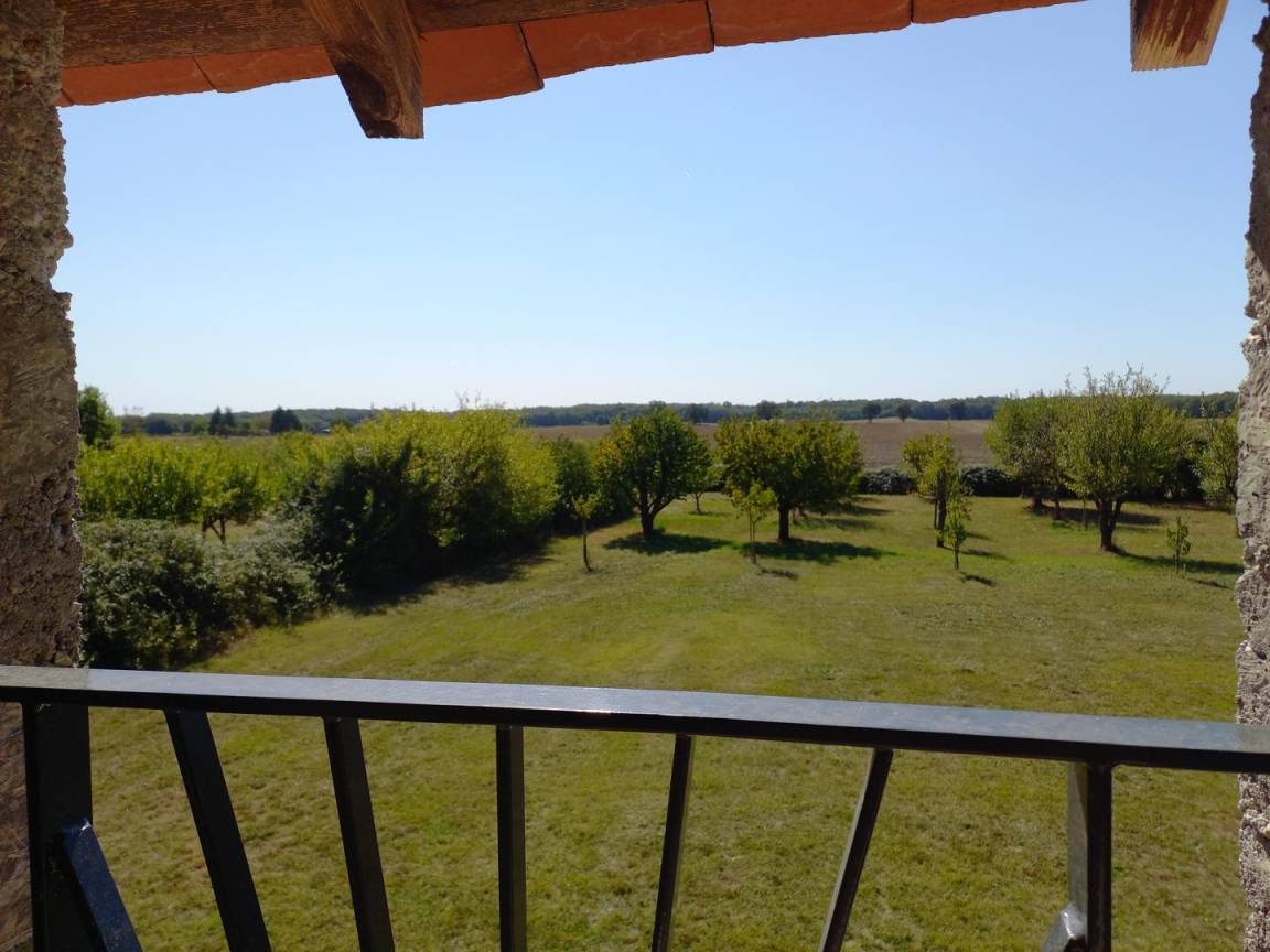 foto14