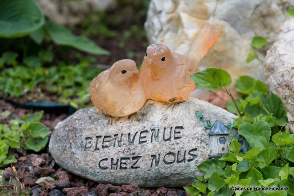 foto18