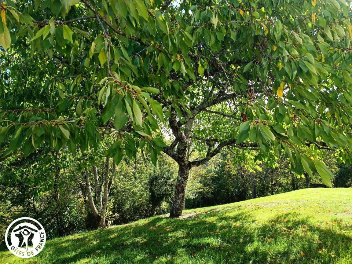 foto14