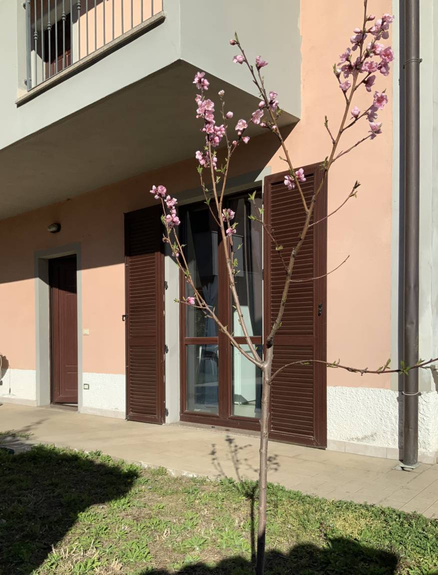 46 M² Appartamento Vacanza ∙ 2 Camere Da Letto ∙ 6 Ospiti - Treviglio