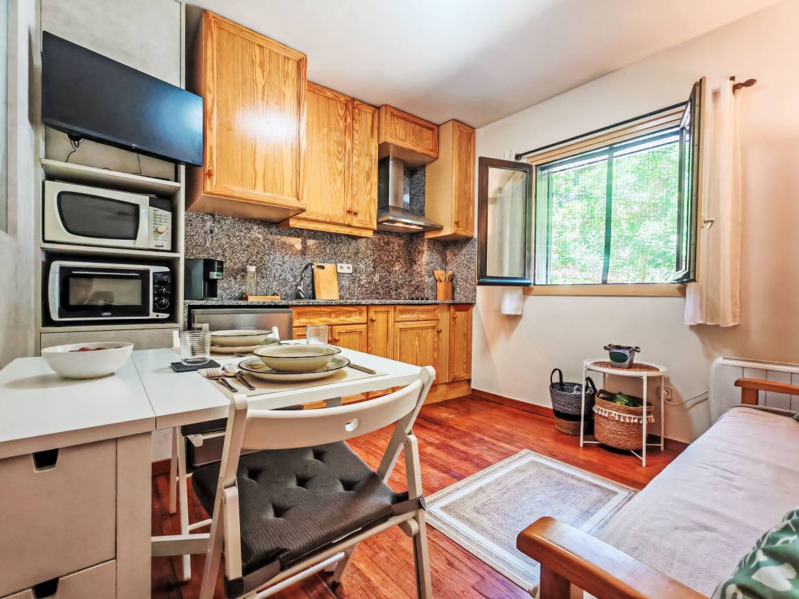 28 M² Apartamento ∙ 1 Habitación ∙ 2 Huéspedes - Macizo del Besiberri
