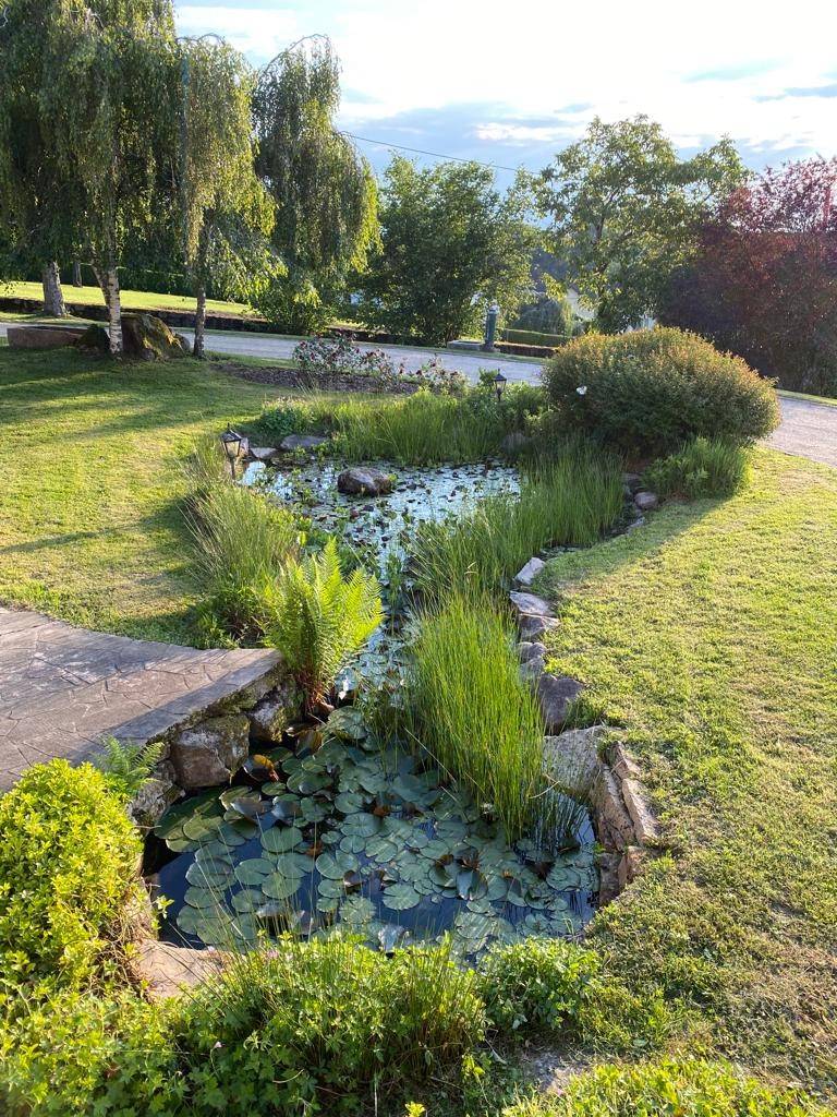 foto20