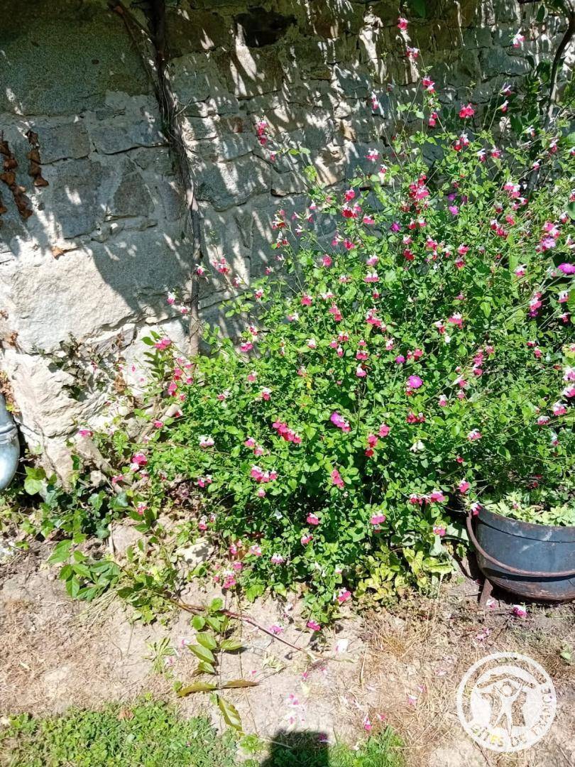 foto21