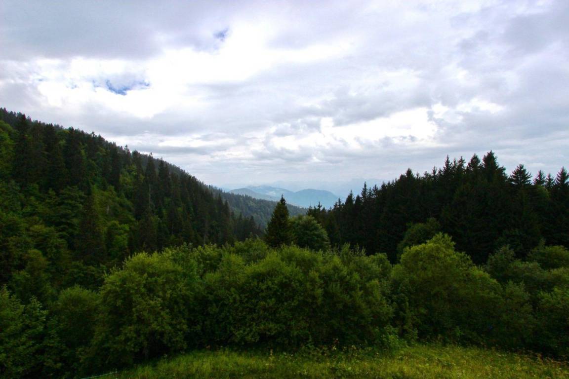 foto10
