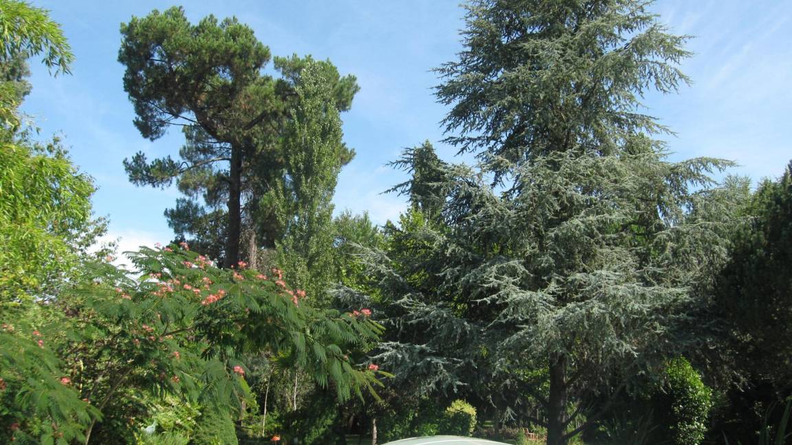 foto19