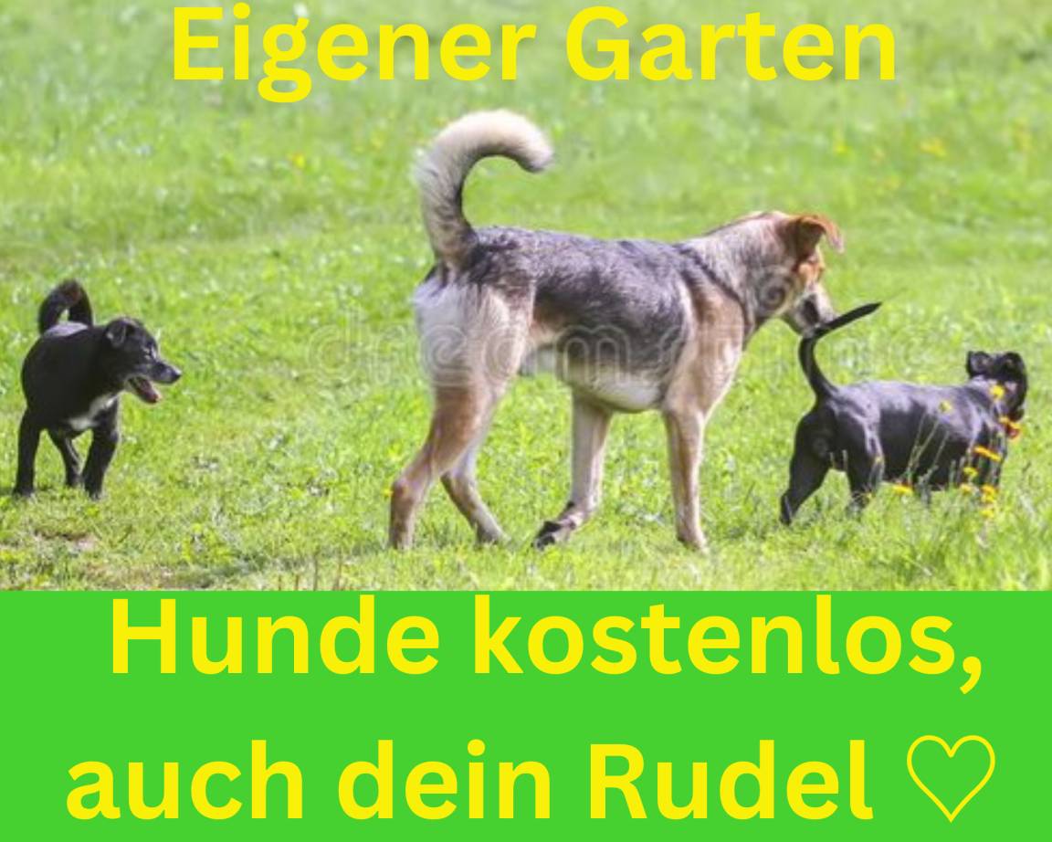75 m² Ferienwohnung ∙ 2 Schlafzimmer ∙ 3 Gäste – Bild 18