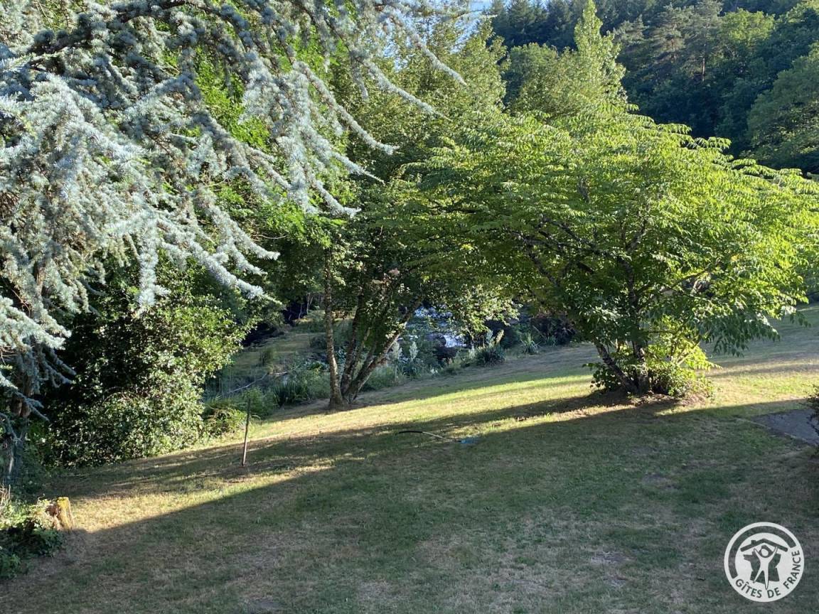 foto31