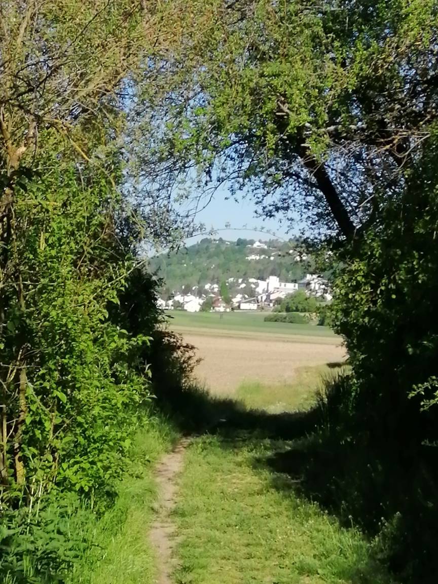 foto3