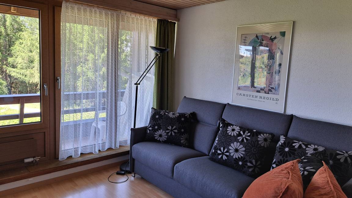 32 M² Apartment ∙ 1 Bedroom ∙ 2 Guests - Veysonnaz