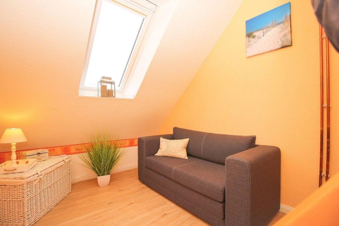 foto8