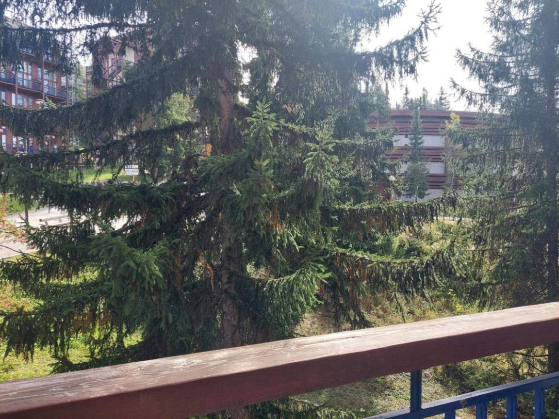 foto11